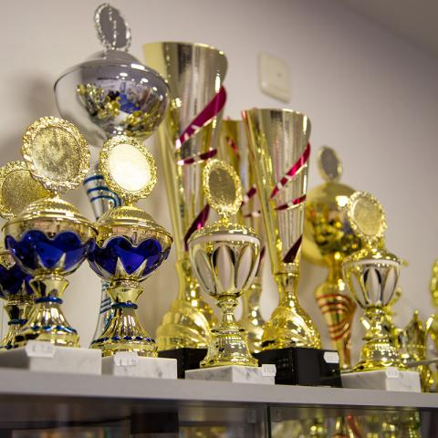 Pokale-oben-auf-Regal